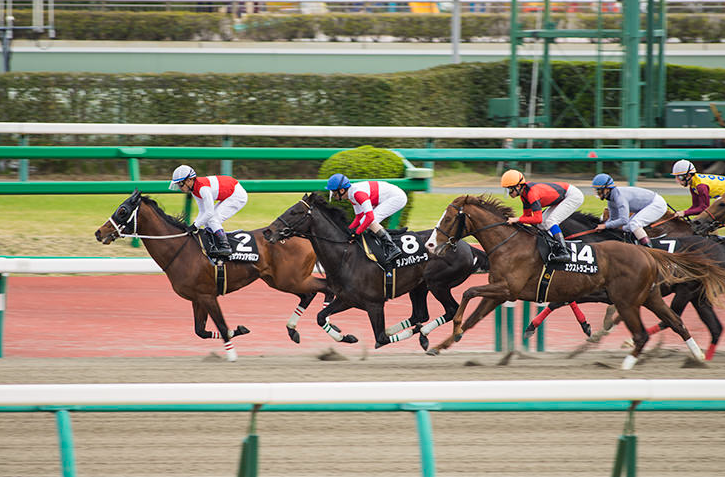 競馬伝説Live！　レビュー