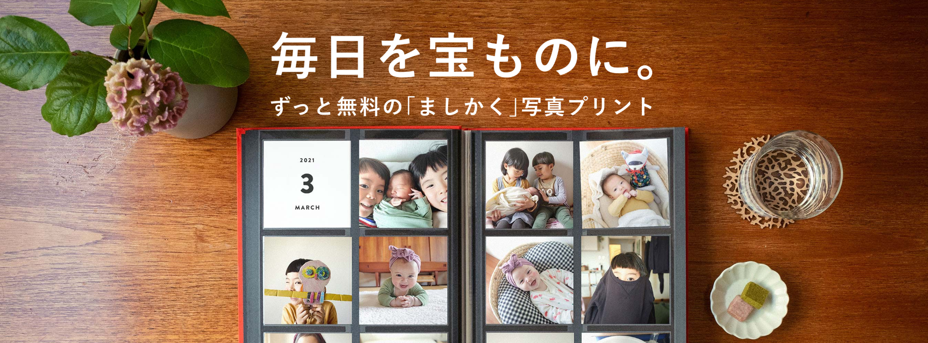 ALBUS　レビュー